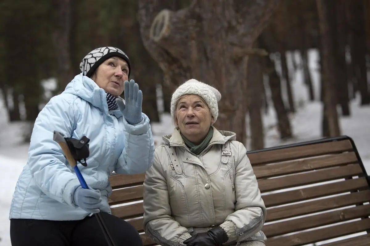 Пенсионеров ожидается. Российские пенсионеры. Новогодние пенсионеры. Пенсионеры пенсия. Российские и российские пенсионеры.