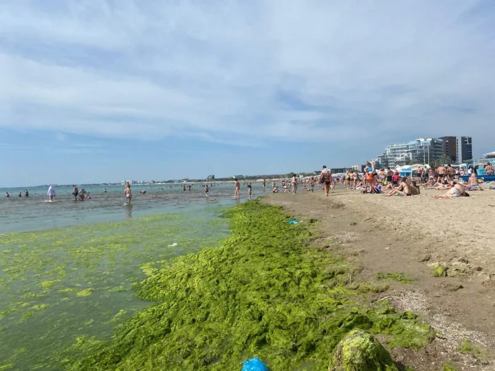 Антирейтинг пляжей юга России: что может испортить ваш отдых