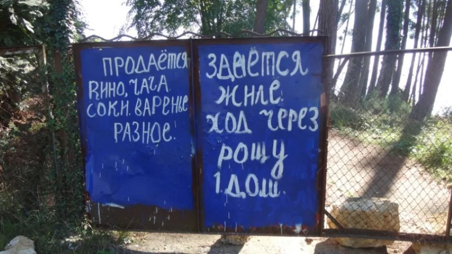 «Свинство на дорогах и обман на рынках»: туристка рассказала, что не так с отдыхом в Абхазии, от которой хочется сбежать