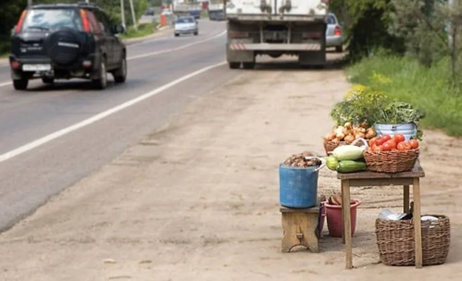Урожай на продажу: как дачникам избежать штрафа в 2000 рублей за торговлю с грядки