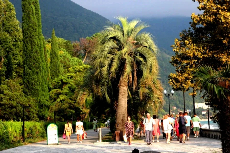 Абхазия обошла Сочи по приросту туристов: названы главные причины