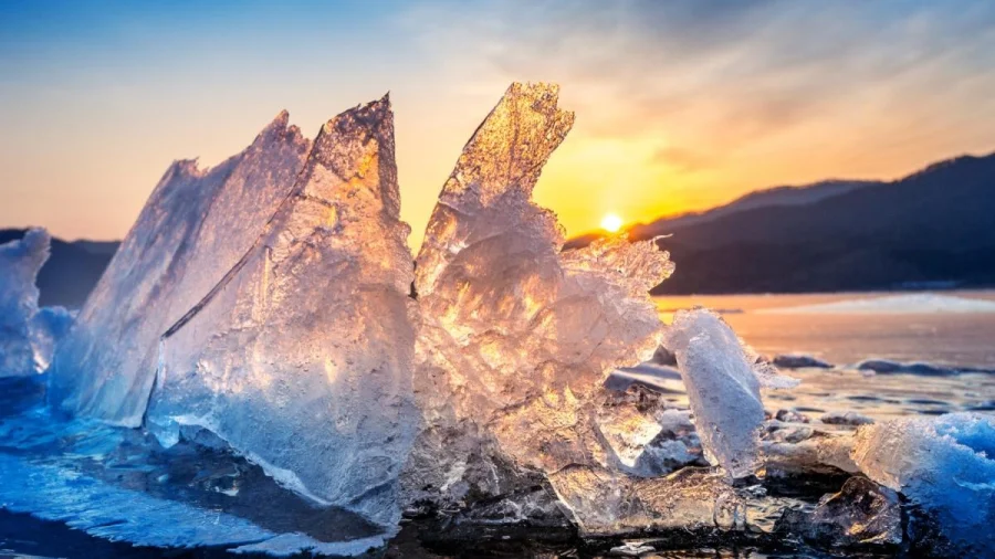 Жизнь восстала быстрее, чем думали: сенсационная находка на Шпицбергене