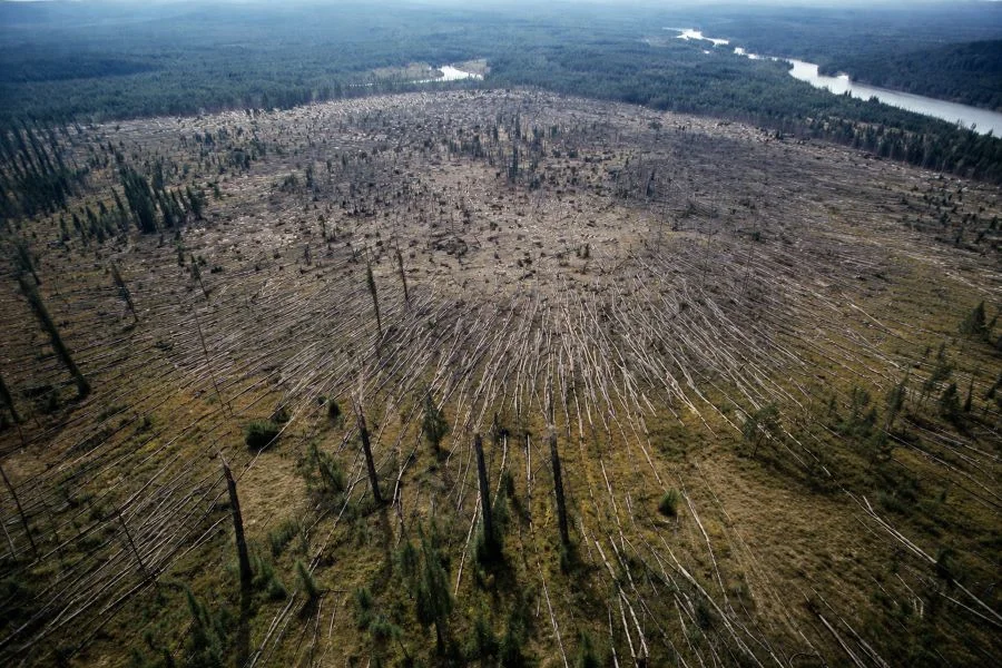 Удар невероятной силы без единой улики: кто или что уничтожило сибирскую тайгу в 1908 году?