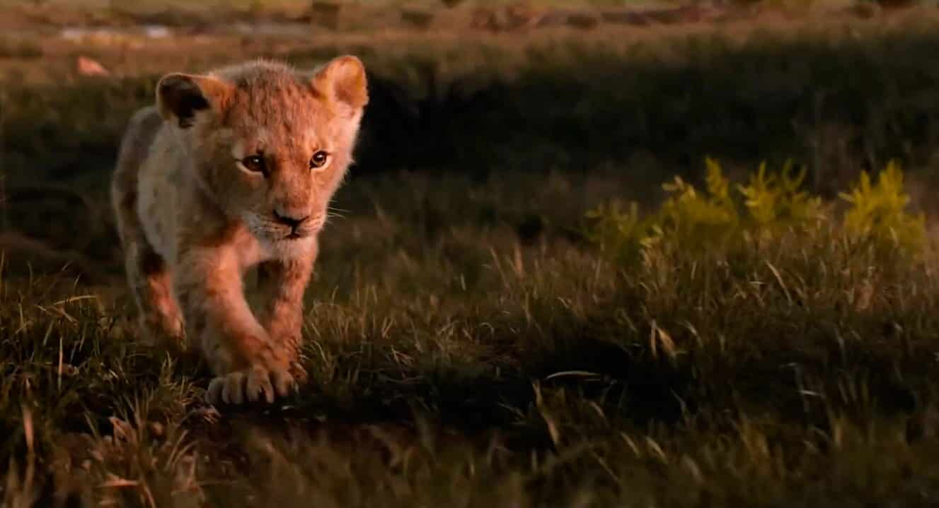 Король лев 2019: когда премьера фильма. Новый трейлер с саундтреком Бейонсе