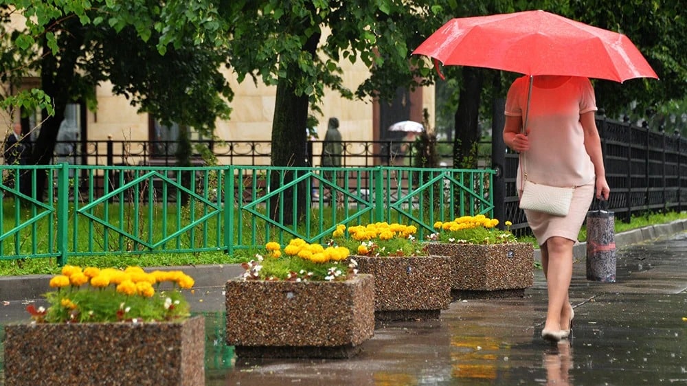Погода в августе 2019 в Москве и области: точный прогноз Гидрометцентра