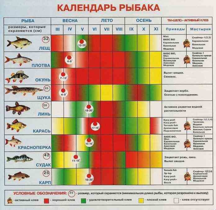Календарь рыбака на август 2019: благоприятные дни августа 2019 года для клева рыбы