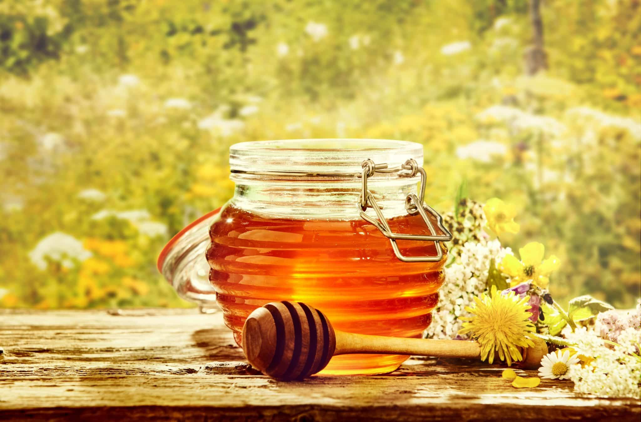 Как правильно выбрать мёд: как отличить натуральный мед, сорта мёда
