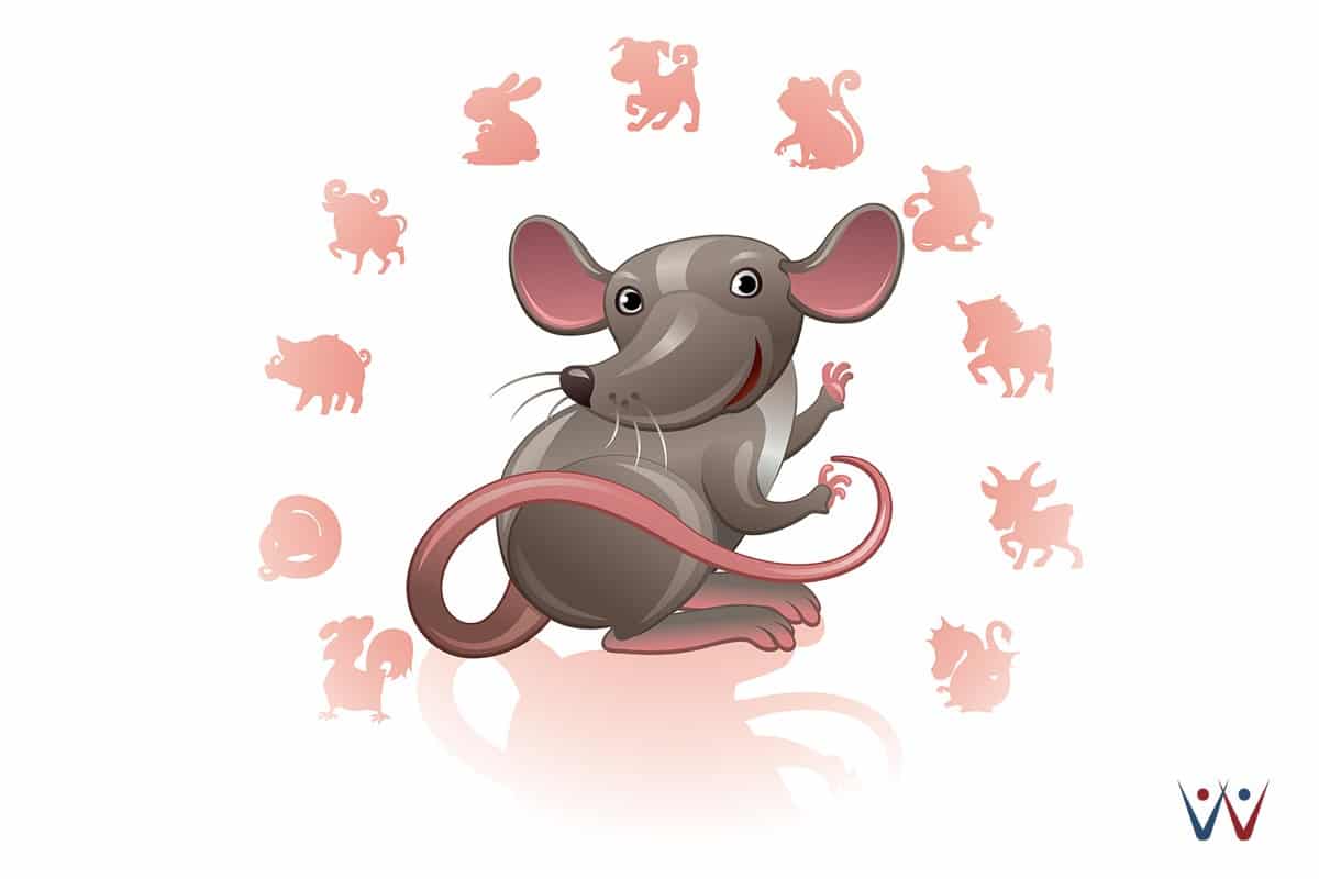 2020 год какого животного будет: каким будет год Крысы?