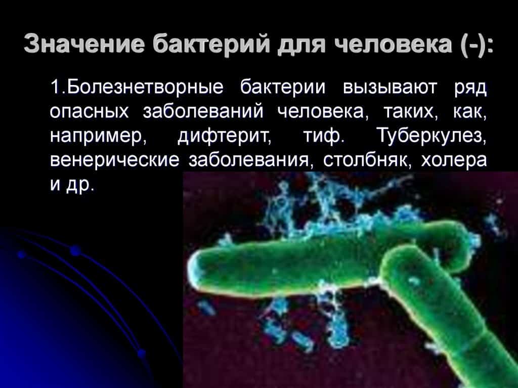 В Балтийском море обнаружили опасную бактерию: опасна или нет
