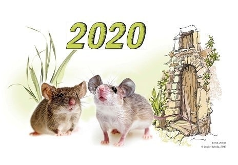 Что рожденным в год Крысы стоит ожидать от 2020 года