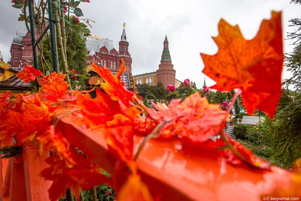 Прогноз погоды в Москве с 13 по 20 сентября 2019: погода от гидрометцентра на каждый день, подробно