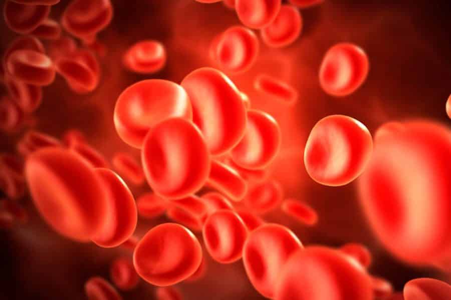 Какая группа крови считается лучшей для здоровья