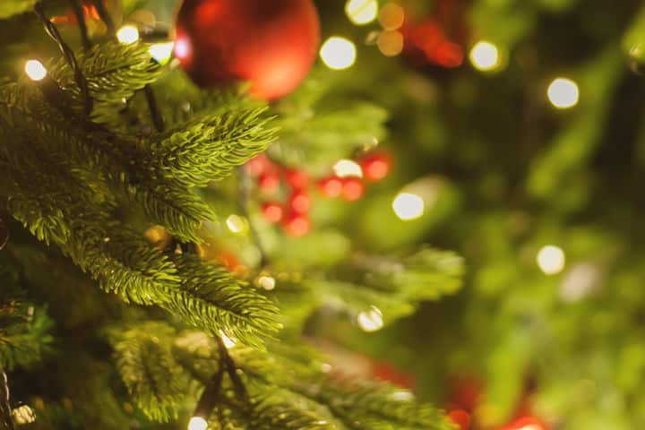 Рекомендации при выборе новогодней елки: живую или искусственную