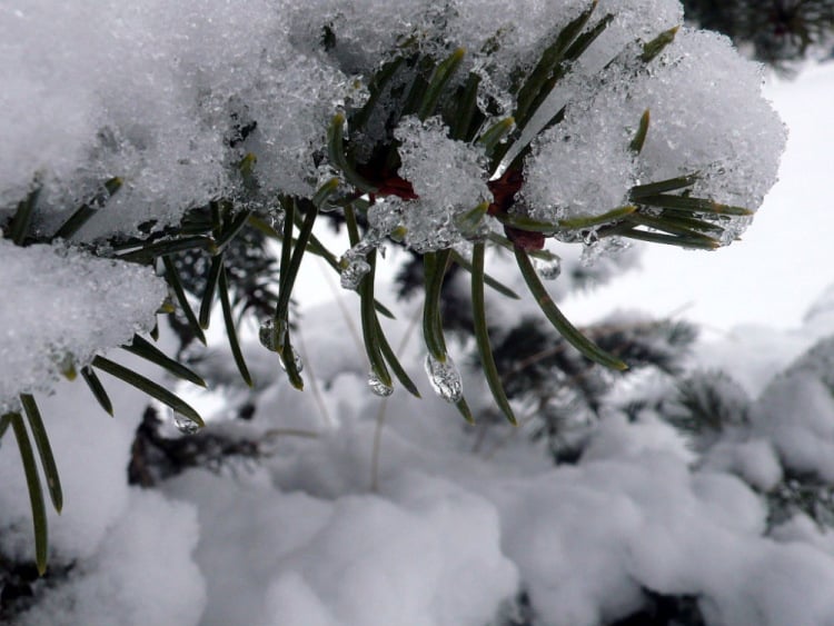 «Когда наступит зима?»: синоптики дали предварительный прогноз на январь 2020 года