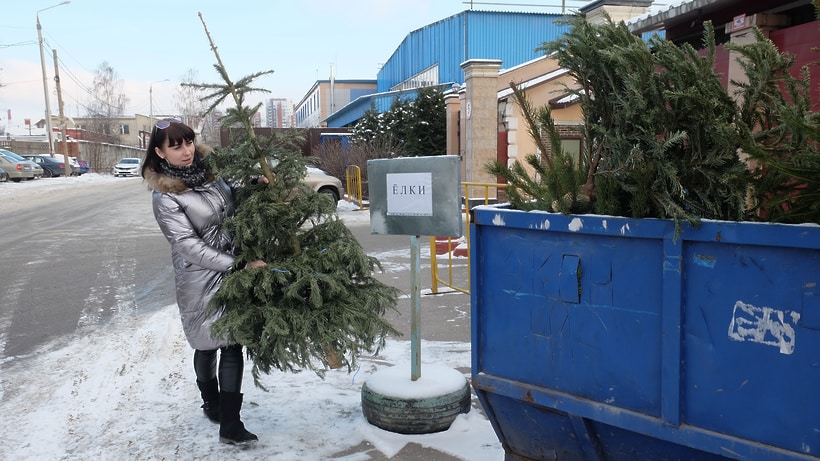 Где бесплатно можно сдать новогоднюю елку: пункты утилизации елок в Москве в 2020 году