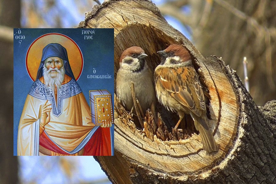 Какой церковный праздник сегодня 11 марта 2021 чтят православные: Порфирий Поздний отмечают 11.03.2021