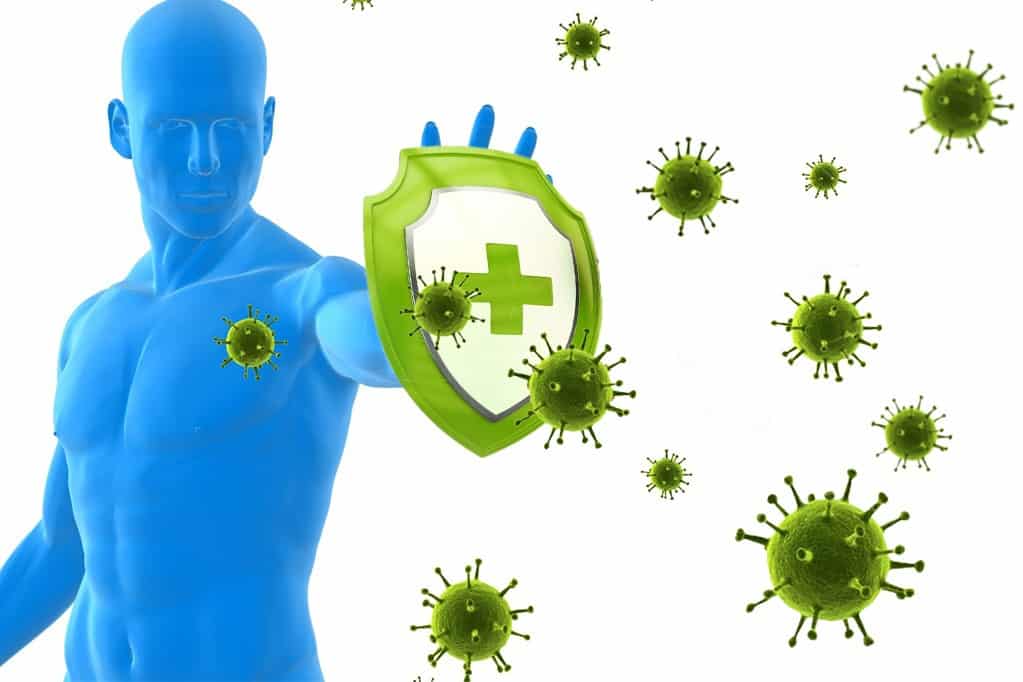 Новые выводы ученых: иммунитет к коронавирусу есть даже у тех, кто им не болел