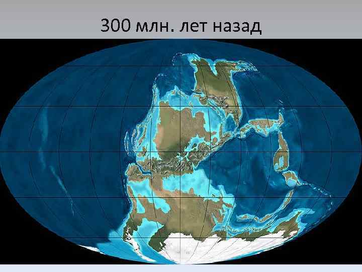 Что было на месте России миллионы лет назад: на дне древнего моря