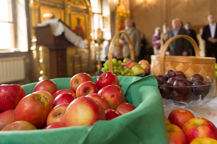 В Яблочный спас верующие готовятся освятить новый урожай яблок