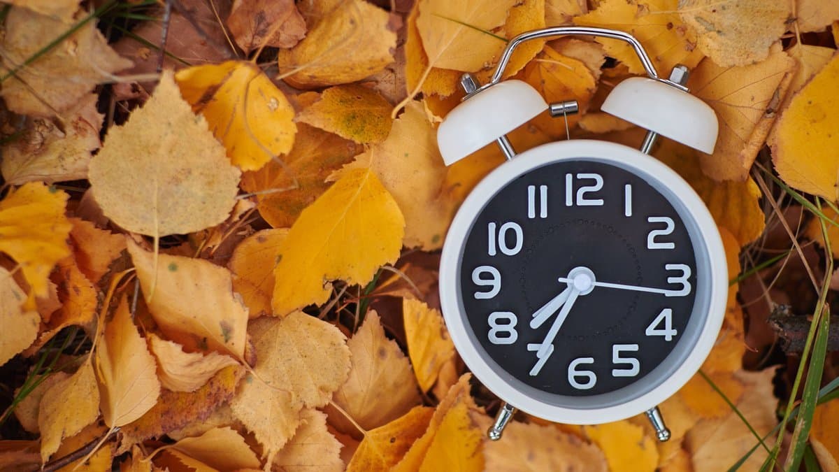 Перевод часов на зимнее время в 2020 году: надо ли переводить часы в России?