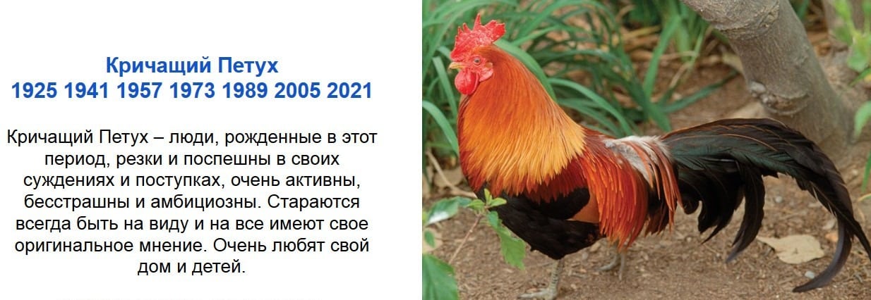 Символ 2021 года по славянскому календарю