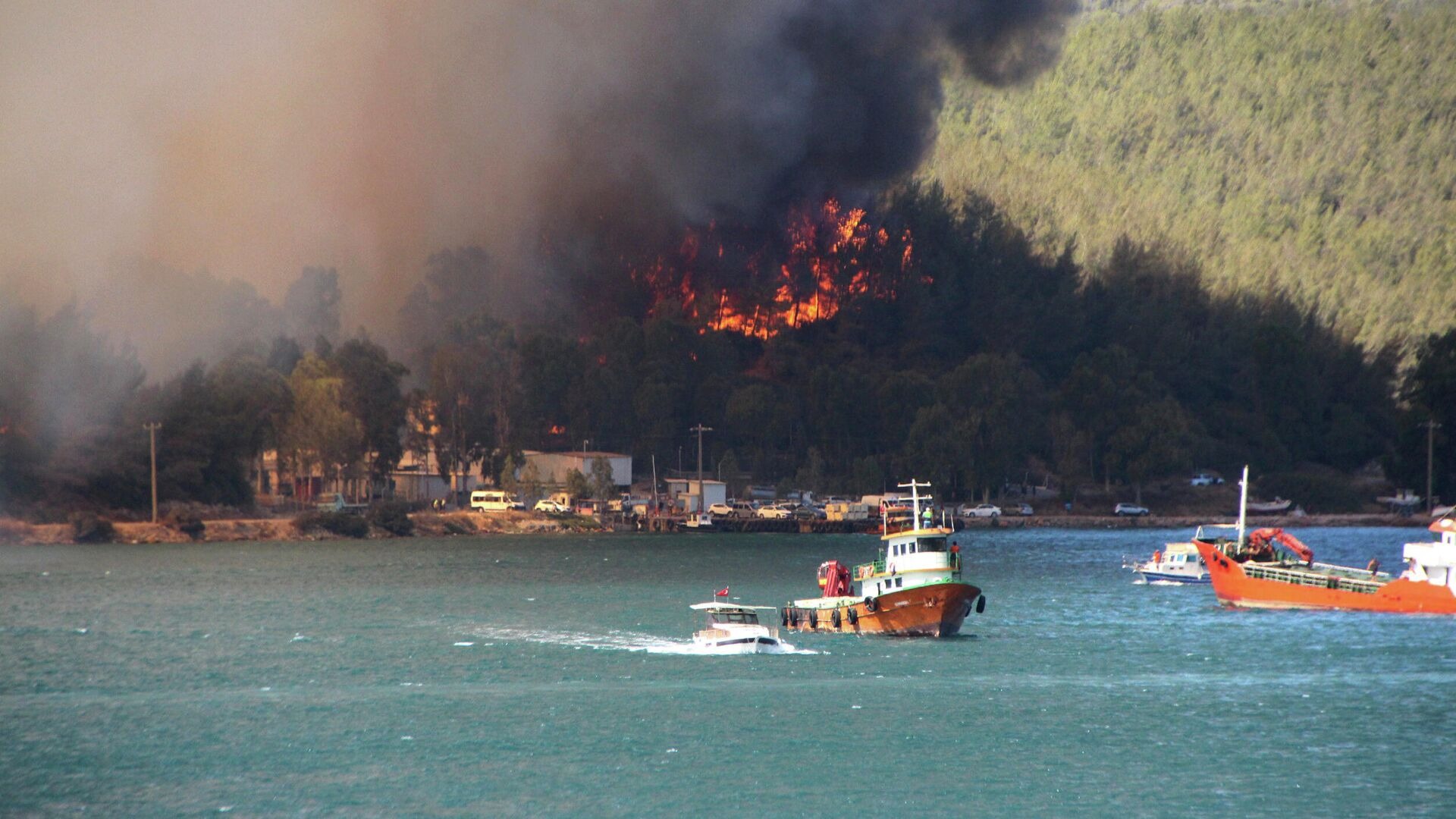 В Турции продолжают гореть леса: есть ли опасность для туристов