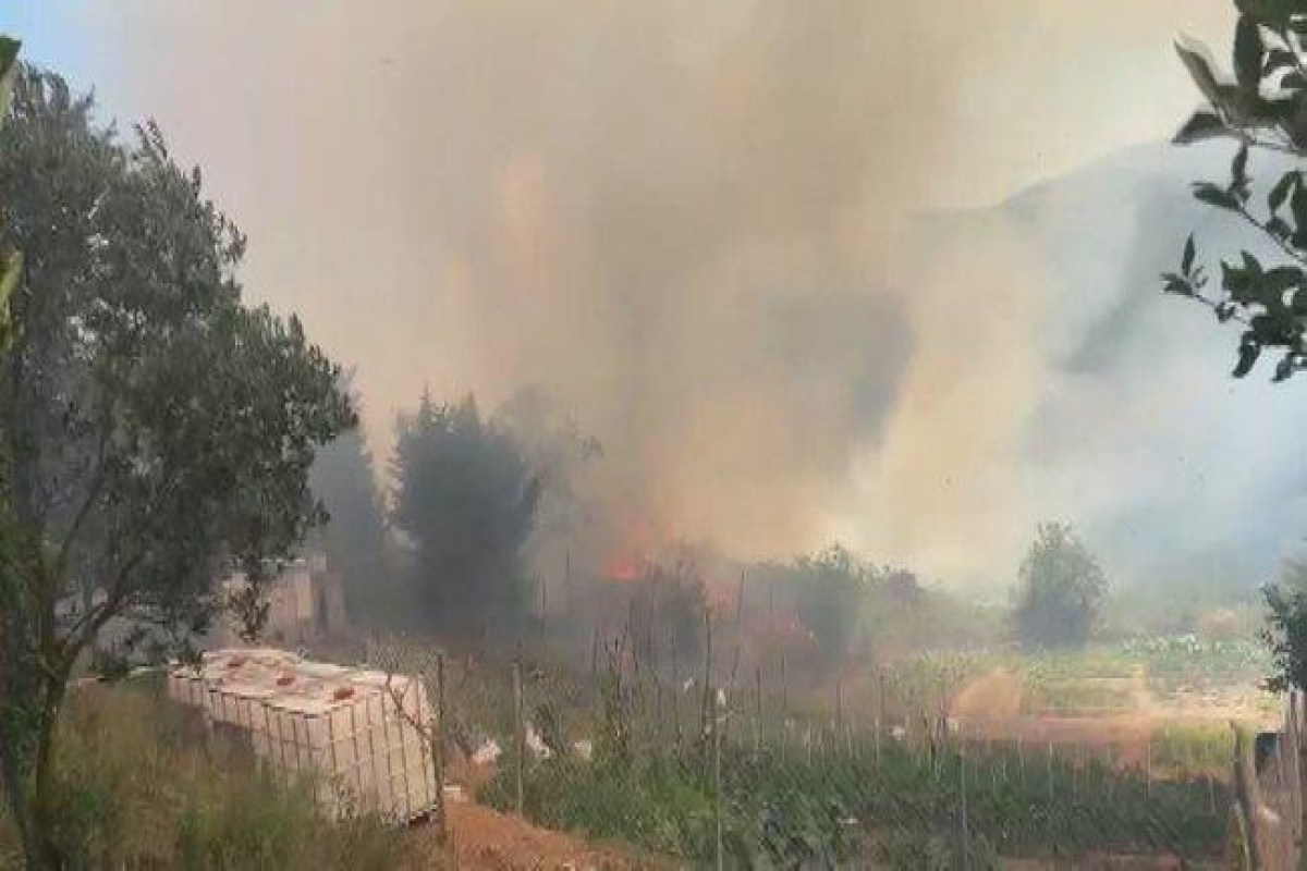 Лесные пожары в Турции: последние новости на сегодня, 27 июля 2023 года
